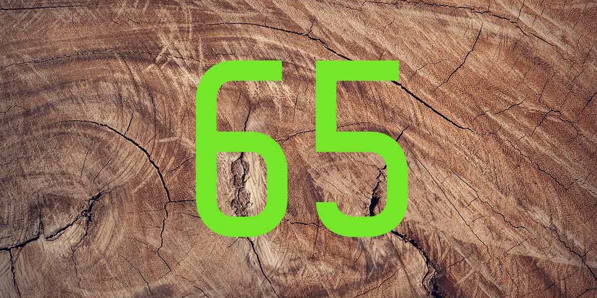 Holzhochhaus Hamburg Auf einem abgeschnittenen Baum steht auf den Baumringen eine 65 | Holzhochhaus Hamburg