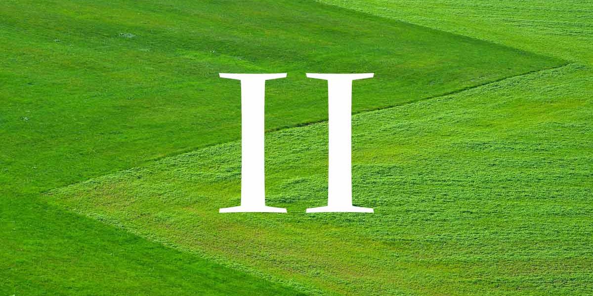 Die römische Zahl zwei in weiß vor einem grünen Rasen - Der Grundbuchauszug