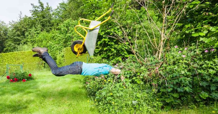 Rechte und Pflichten von Immobilienbesitzern Ein Mann fällt mir einer Schubkarre in eine Hecke - Rechte und Pflichten von Immobilienbesitzern