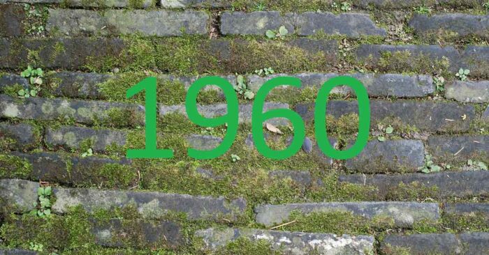 Zahl des Monats 1960 Eine grüne Zahl 1960 vor einer grauen Steinmauer - Zahl des Monats 1960