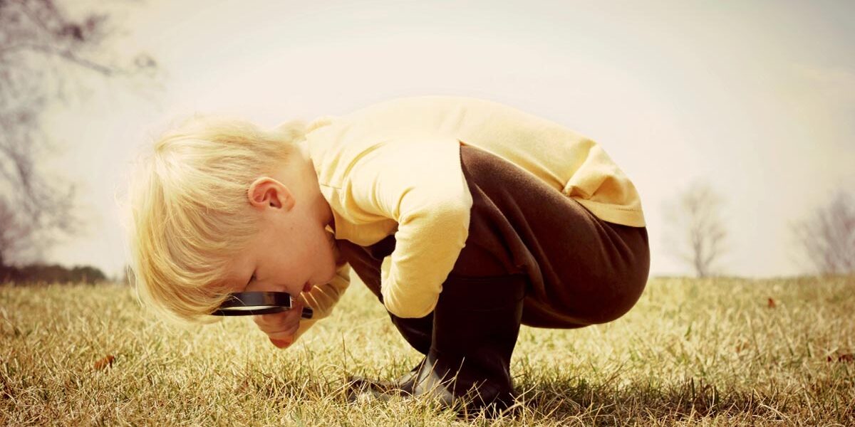 Suchauftrag Suchauftrag, ein Kind sucht auf einer Wiese