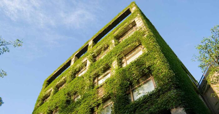 Ein mit Pflenzen bewachsenes Mehrfamilienhaus, für besonders gute Energieeffizienz, was den Immobilienwert beeinflusst | Immobilienbewertung