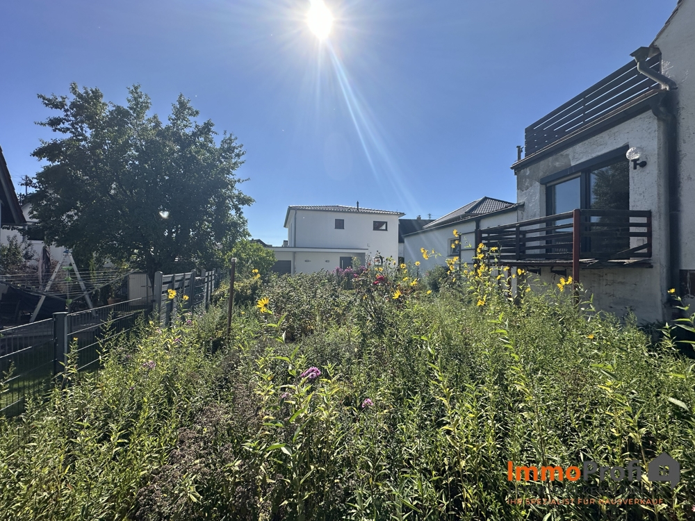 Garten jpg